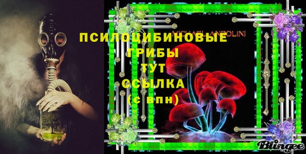 гидра Баксан