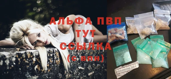 СК Белокуриха